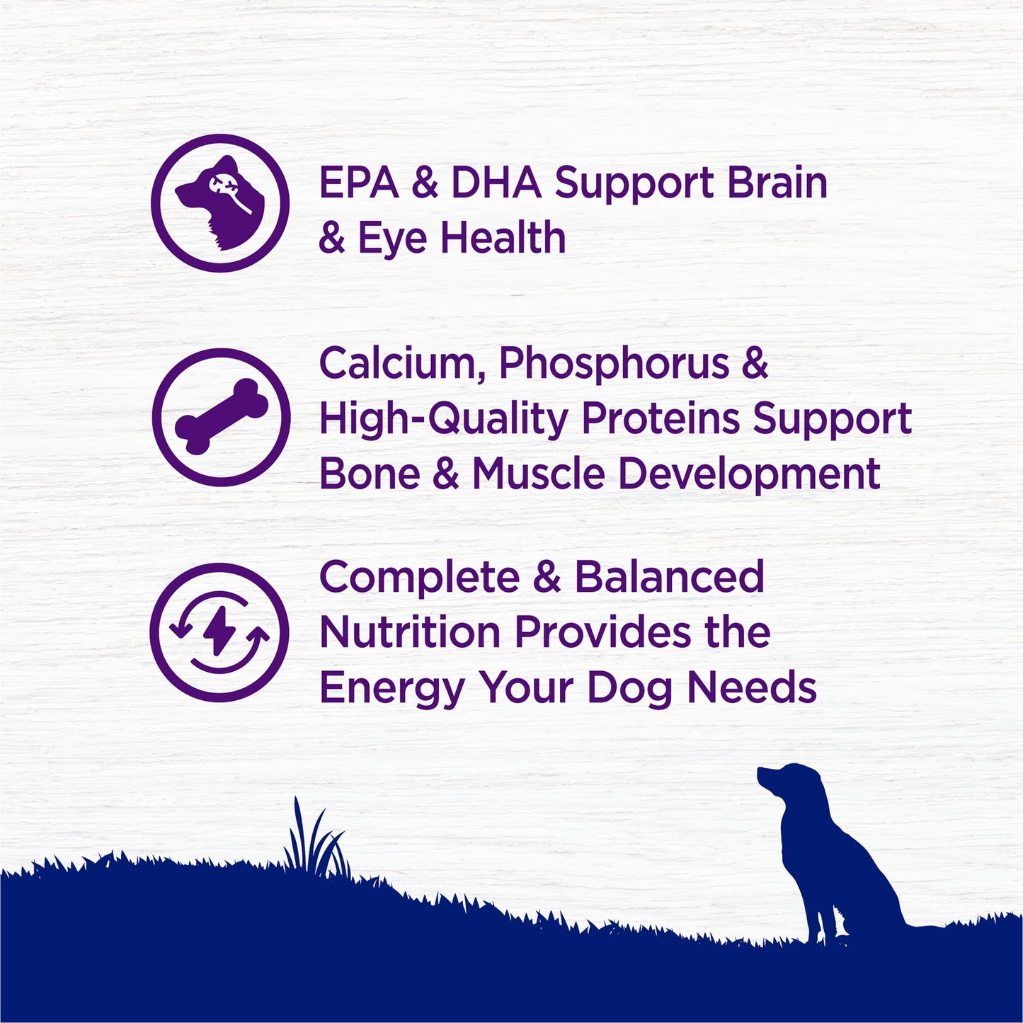 Wellness Complete Health Natural Large Breed Puppy Dry Dog Food, Chicken, Salmon & Rice, 30-Pound Bag