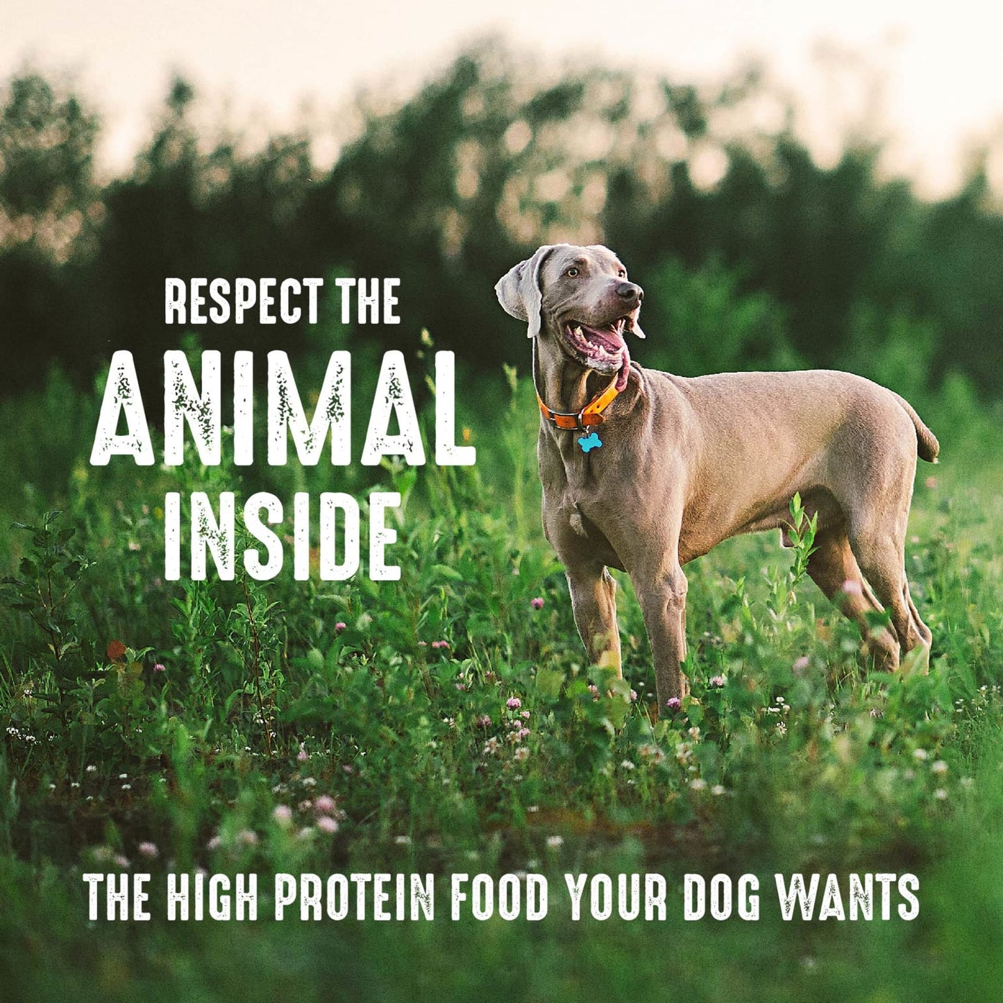 Crave Grain Free Adult Dry Dog Food With Protein From White Fish & Salmon, 22 Lb. Bag
