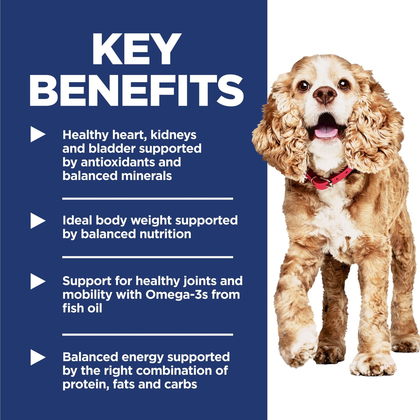Hill's Science Diet Small & Mini Chicken, Barley & Rice Dry Dog Food for 11+ Senior Dogs, 4.5lb Bag