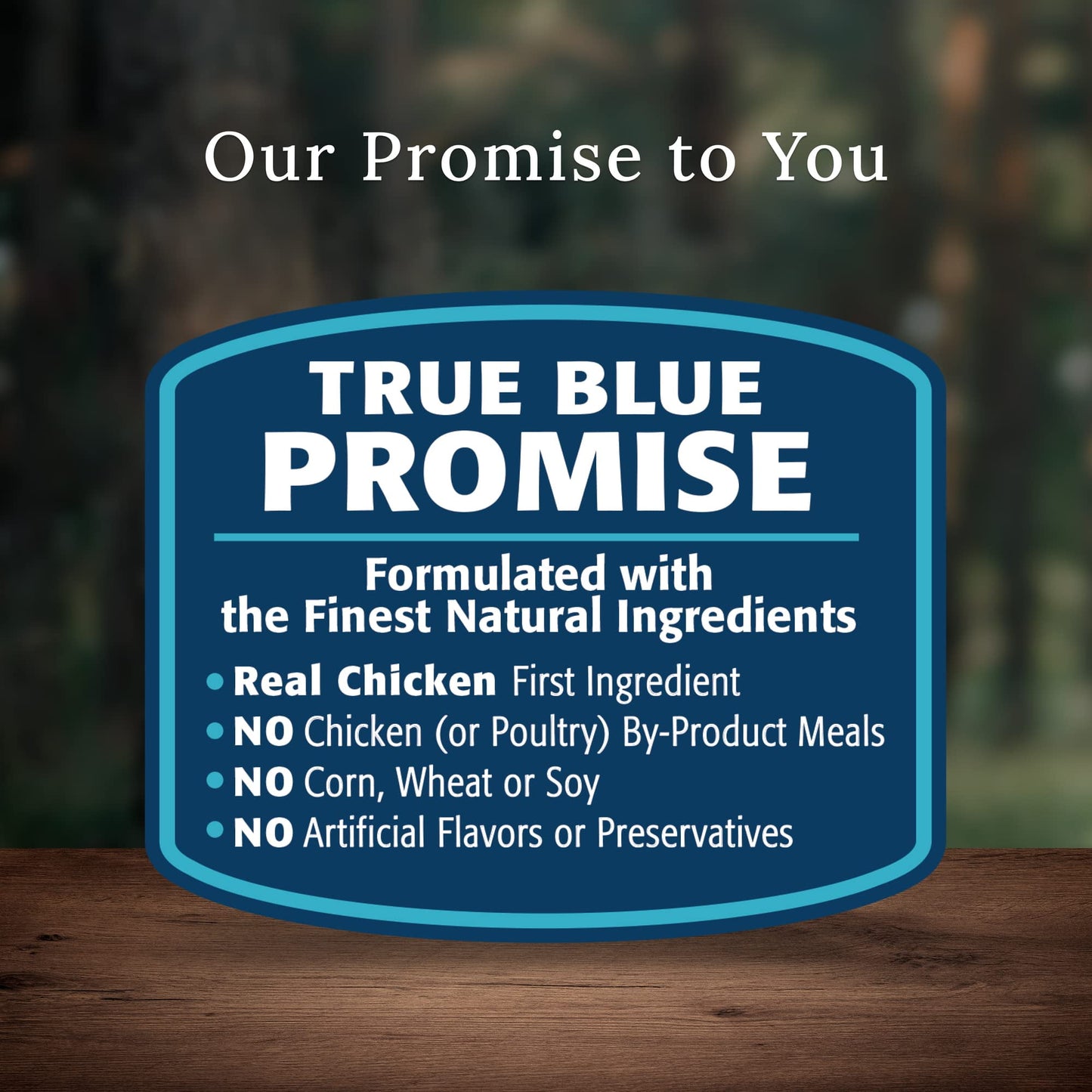Blue Buffalo Blue Wilderness Plus Wholesome Grains Natural (Pack of 2)