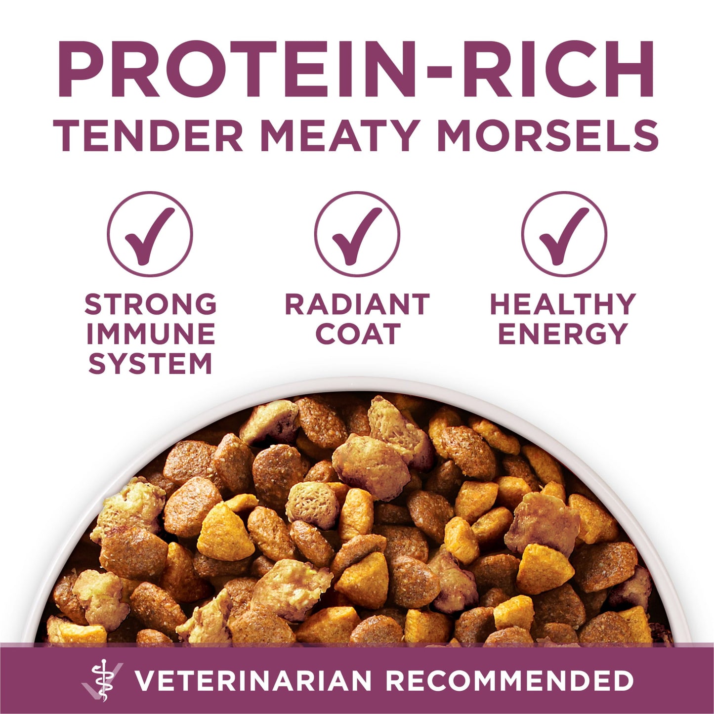 Purina ONE Plus Healthy Puppy Dry Dog Food, High Protein Growth Support Real Chicken, 16.5 lb Bag