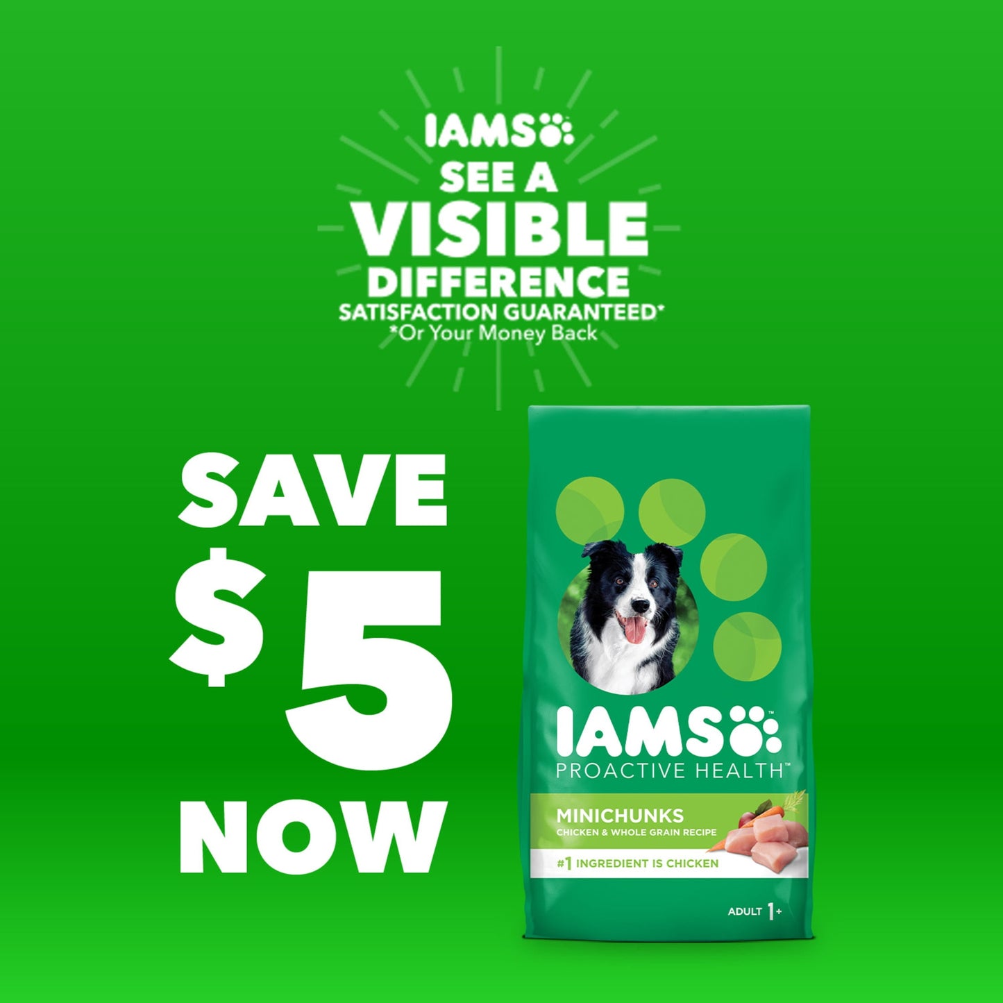 Iams Proactive Health Chicken And Whole Grain Recipe Dry Dog Food For Puppies, 15 Lb Bag