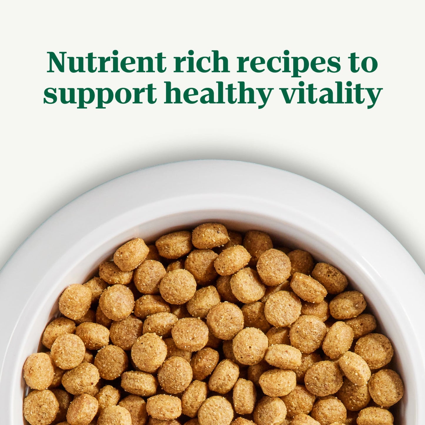 Nutro Natural Choice Adult Dry Dog Food, Chicken And Brown Rice Recipe 5 Lbs.