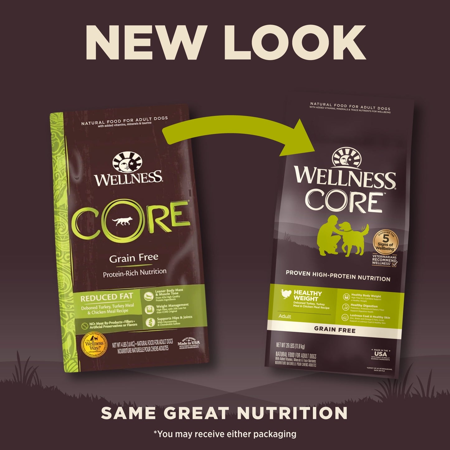 Wellness CORE Dry Dog Food, Grain Free, High Protein, Natural, Healthy Weight Turkey & Chicken Recipe, (26-Pound Bag)