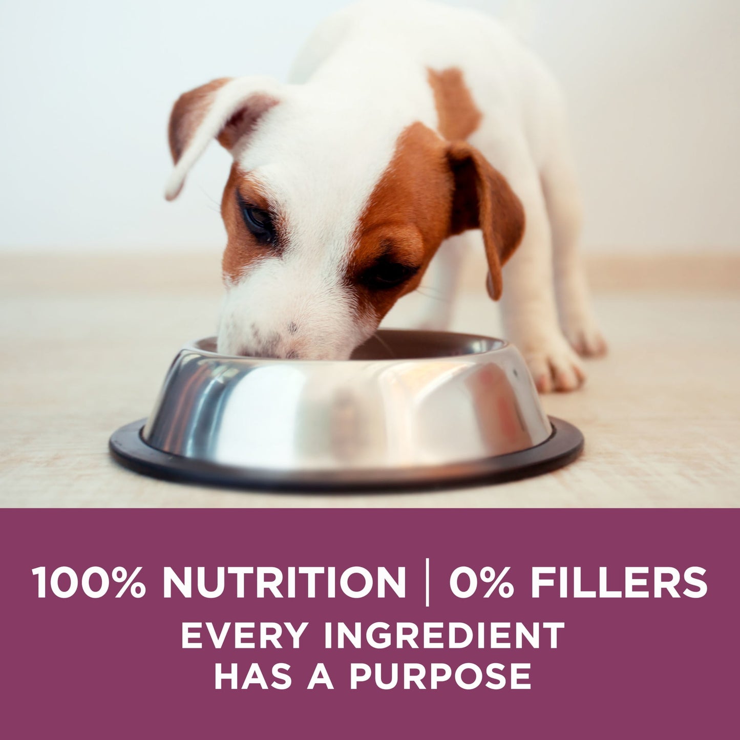 Purina ONE Plus Healthy Puppy Dry Dog Food, High Protein Growth Support Real Chicken, 16.5 lb Bag