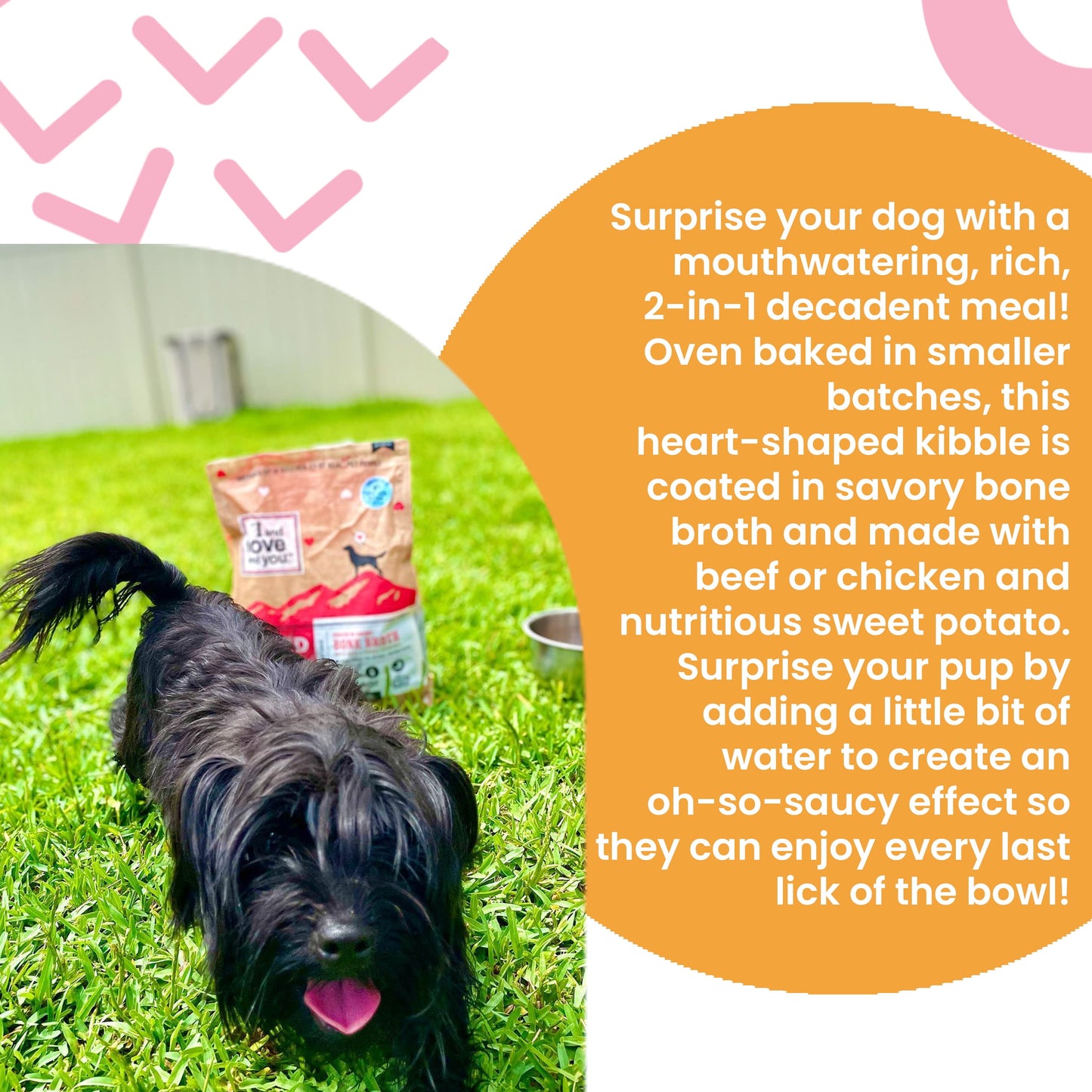 "I and love and you" Baked & Saucy Dry Dog Food, Beef + Sweet Potatoes 4LB