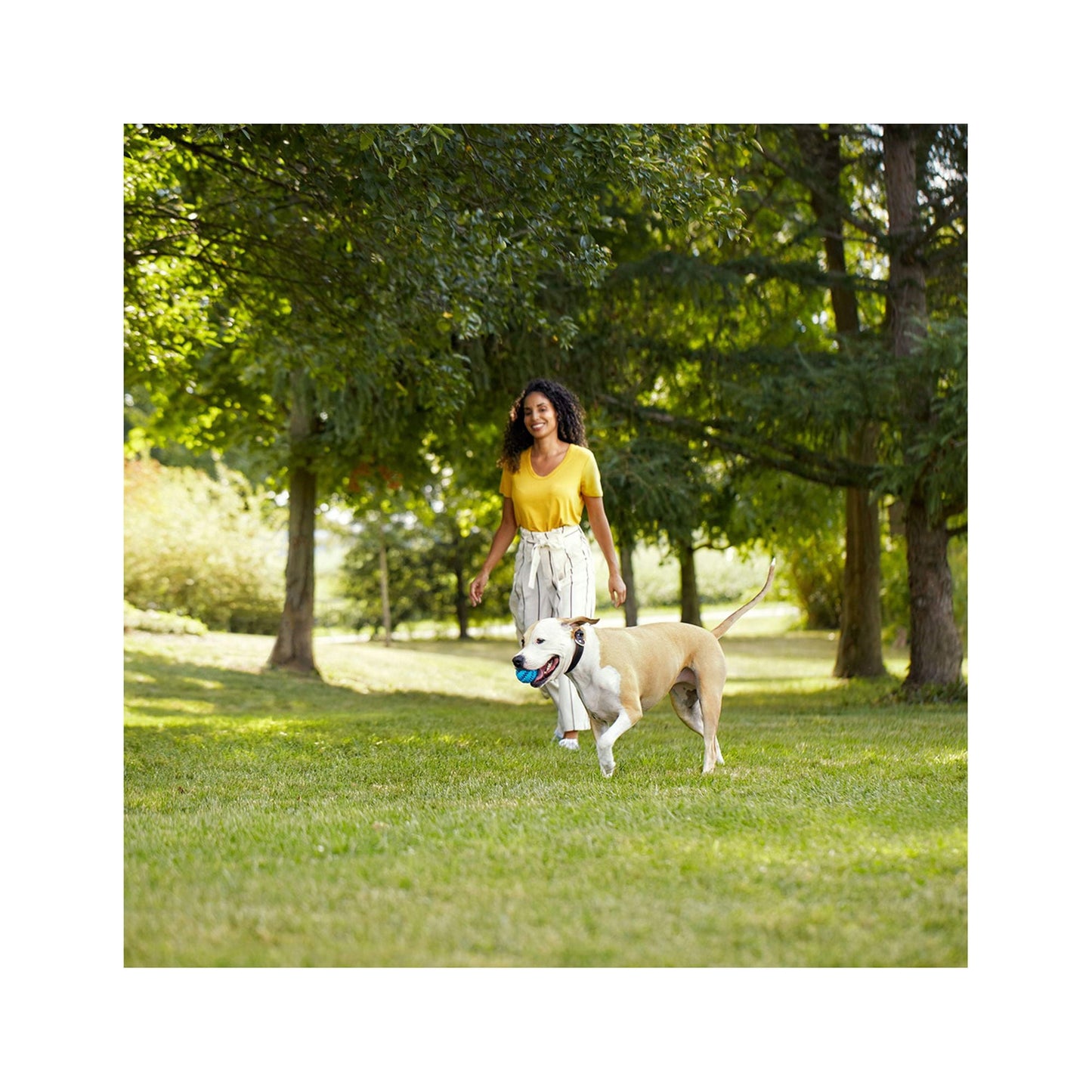Rachael Ray Nutrish PEAK Natural Dry Dog Food (Pack of 2)