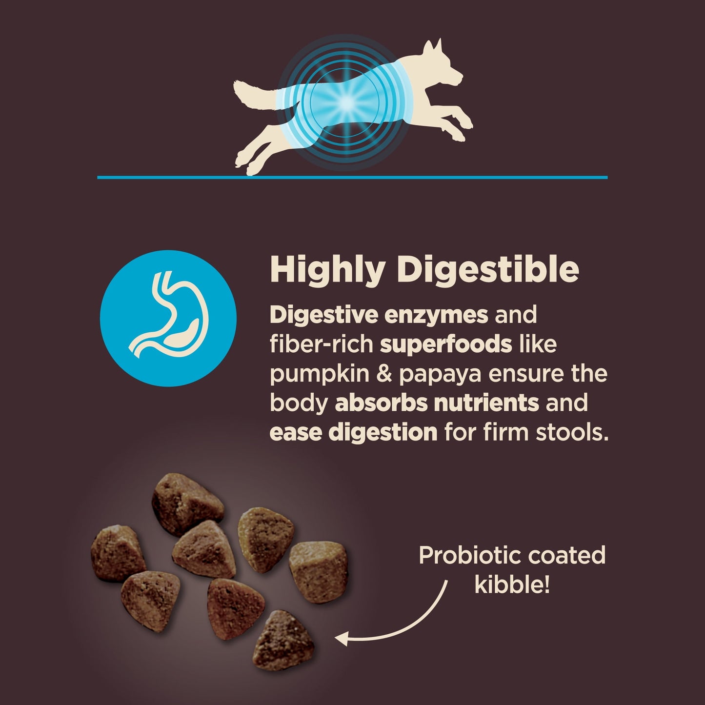Wellness CORE Digestive Health Dry Dog Food, Whitefish & Brown Rice Dry Dog Food, 22 Pound Bag