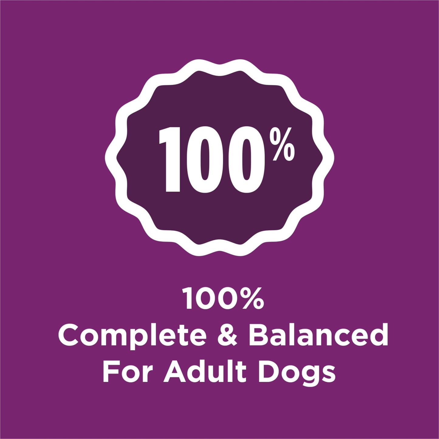 Purina Dog Chow Complete Adult Dry Dog Food Kibble with Lamb Flavor (Pack of 4)