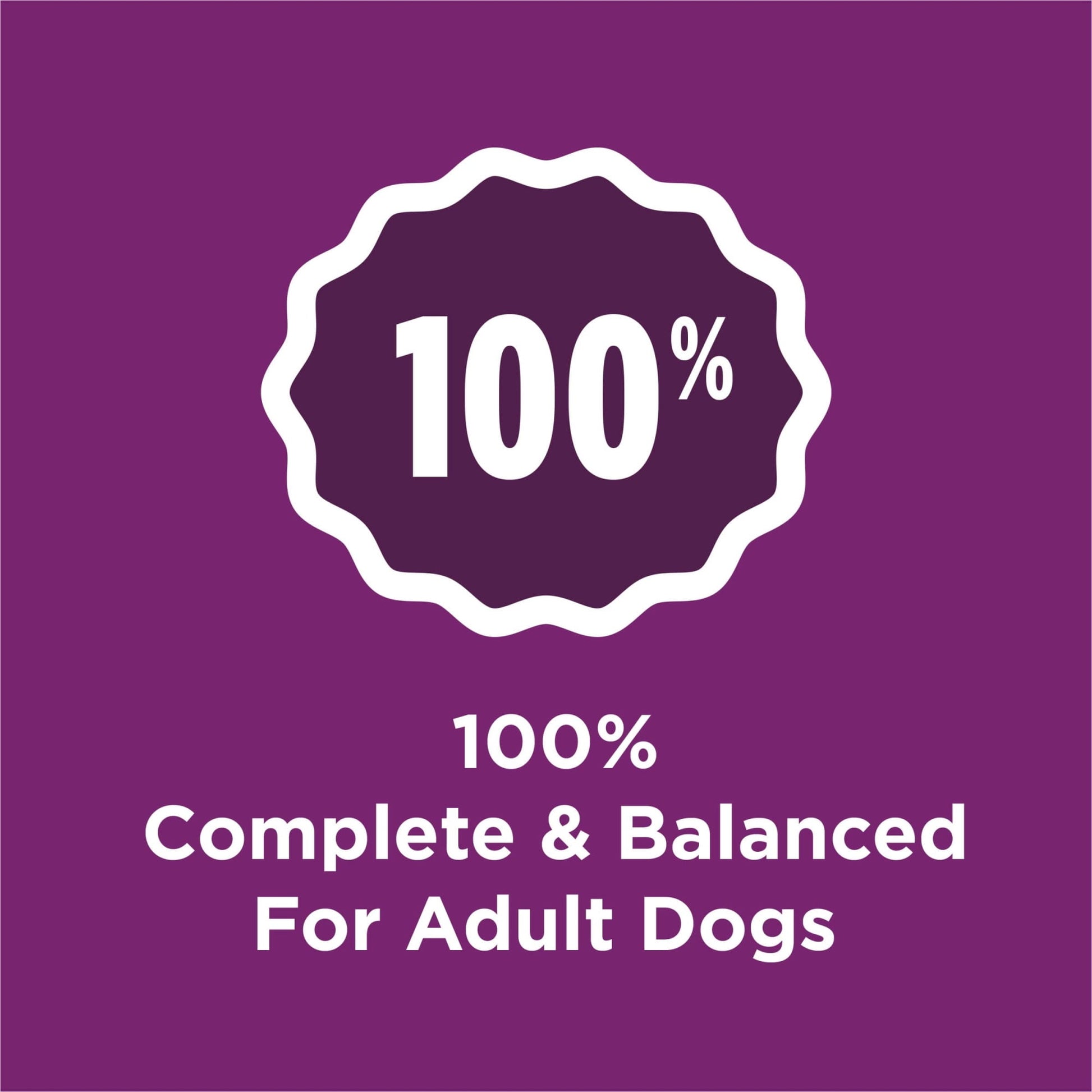 Purina Dog Chow Complete Adult Dry Dog Food Kibble with Lamb Flavor (Pack of 18)