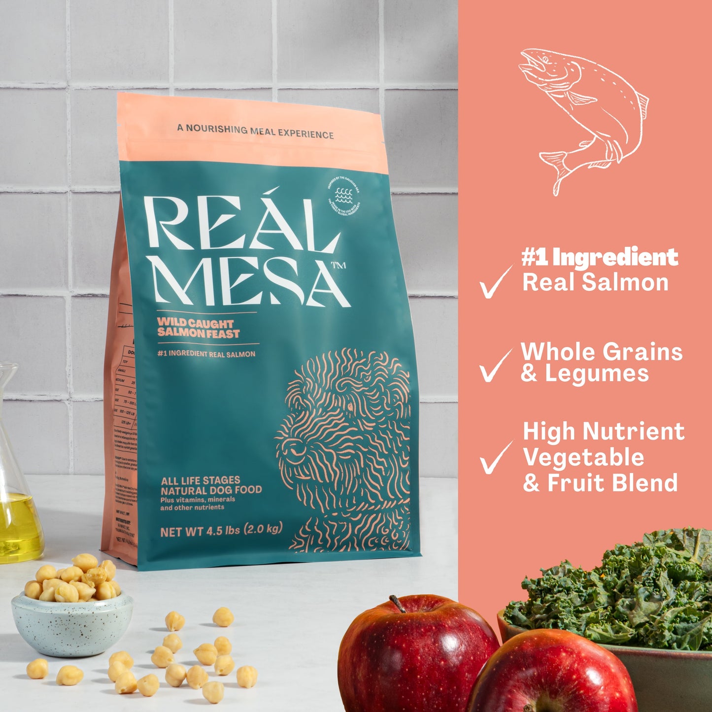 REAL MESA Wild Caught Salmon Feast Dry Dog Food, 4.5 lb Bag