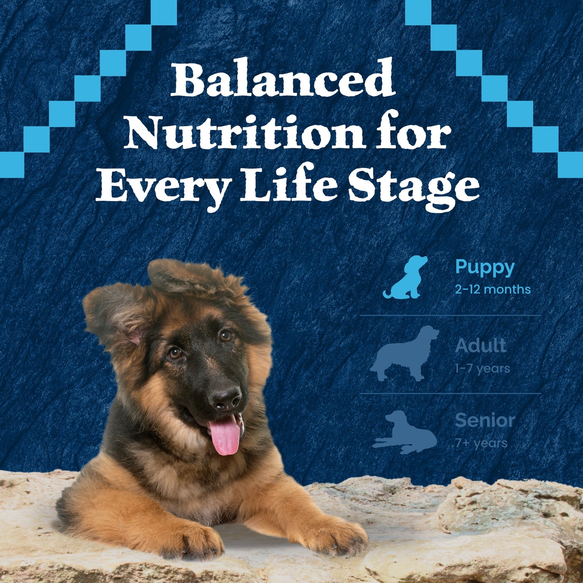 Blue Buffalo Wilderness Puppy High-Protein Natural Dry Dog Food, Chicken Recipe, 13-lb. Bag