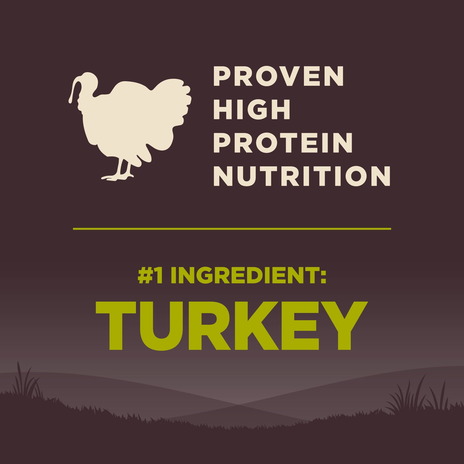 Wellness CORE Dry Dog Food, Grain Free, High Protein, Natural, Healthy Weight Turkey & Chicken Recipe, (26-Pound Bag)
