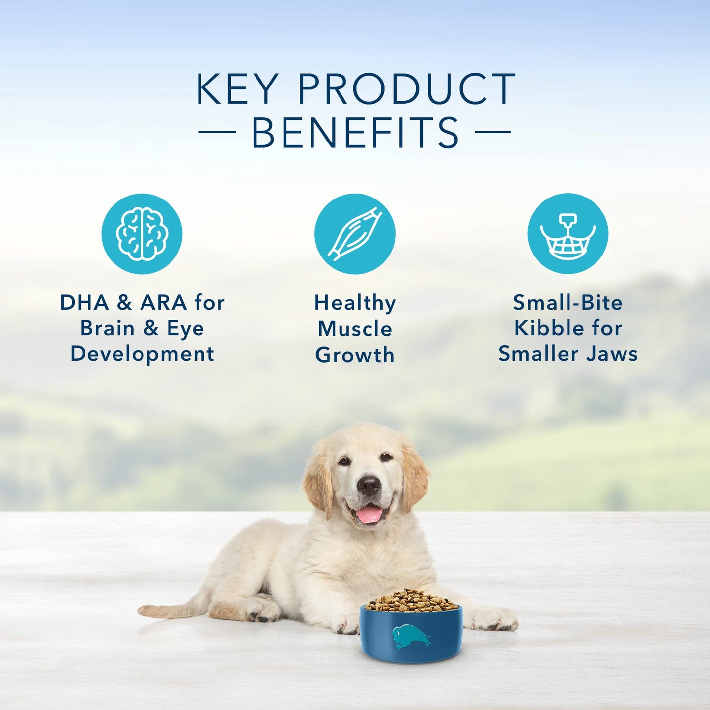 Blue Buffalo Life Protection Formula Natural Puppy Dry Dog Food, (Pack of 2)