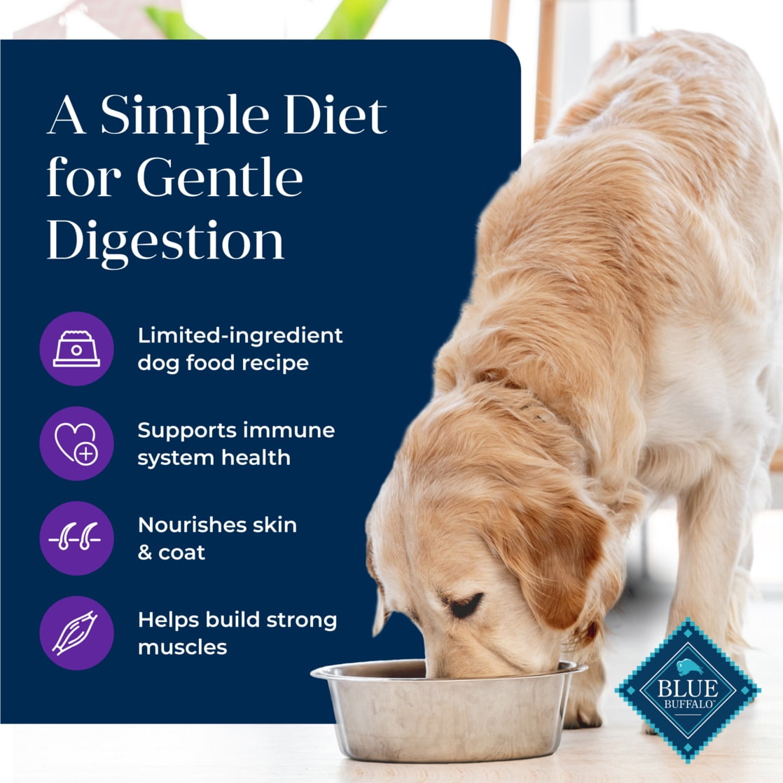 Blue Buffalo Basics Adult Dry Dog Food, Skin & Stomach Care, Turkey Recipe, 11lb