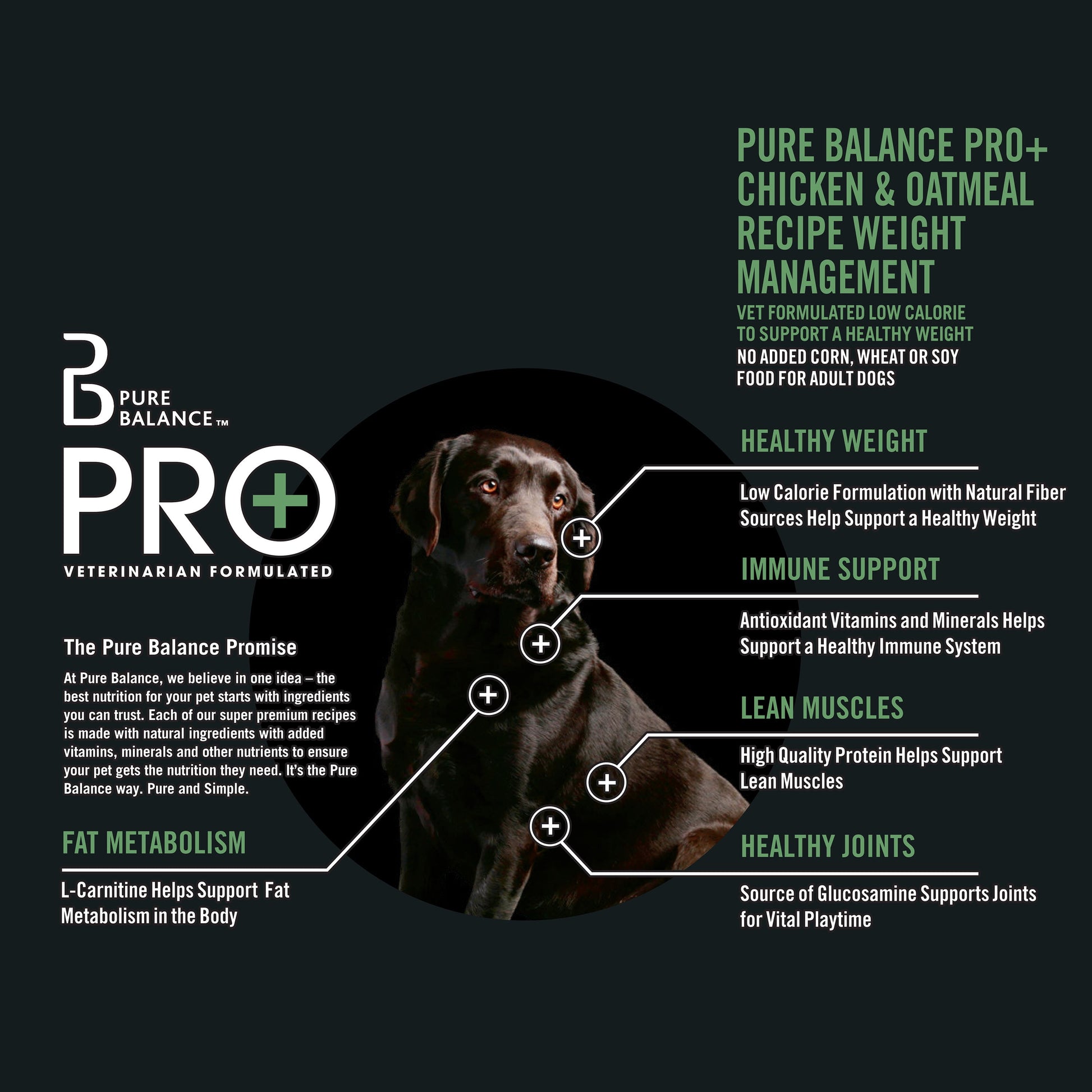Pure Balance Pro+ Weight Management Chicken & Oatmeal Recipe Dry Dog Food, 8 lbs