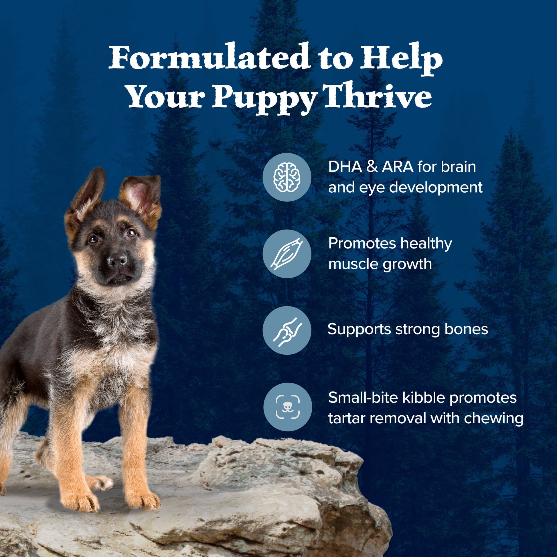 Blue Buffalo Wilderness Puppy High-Protein Natural Dry Dog Food, Chicken Recipe, 13-lb. Bag