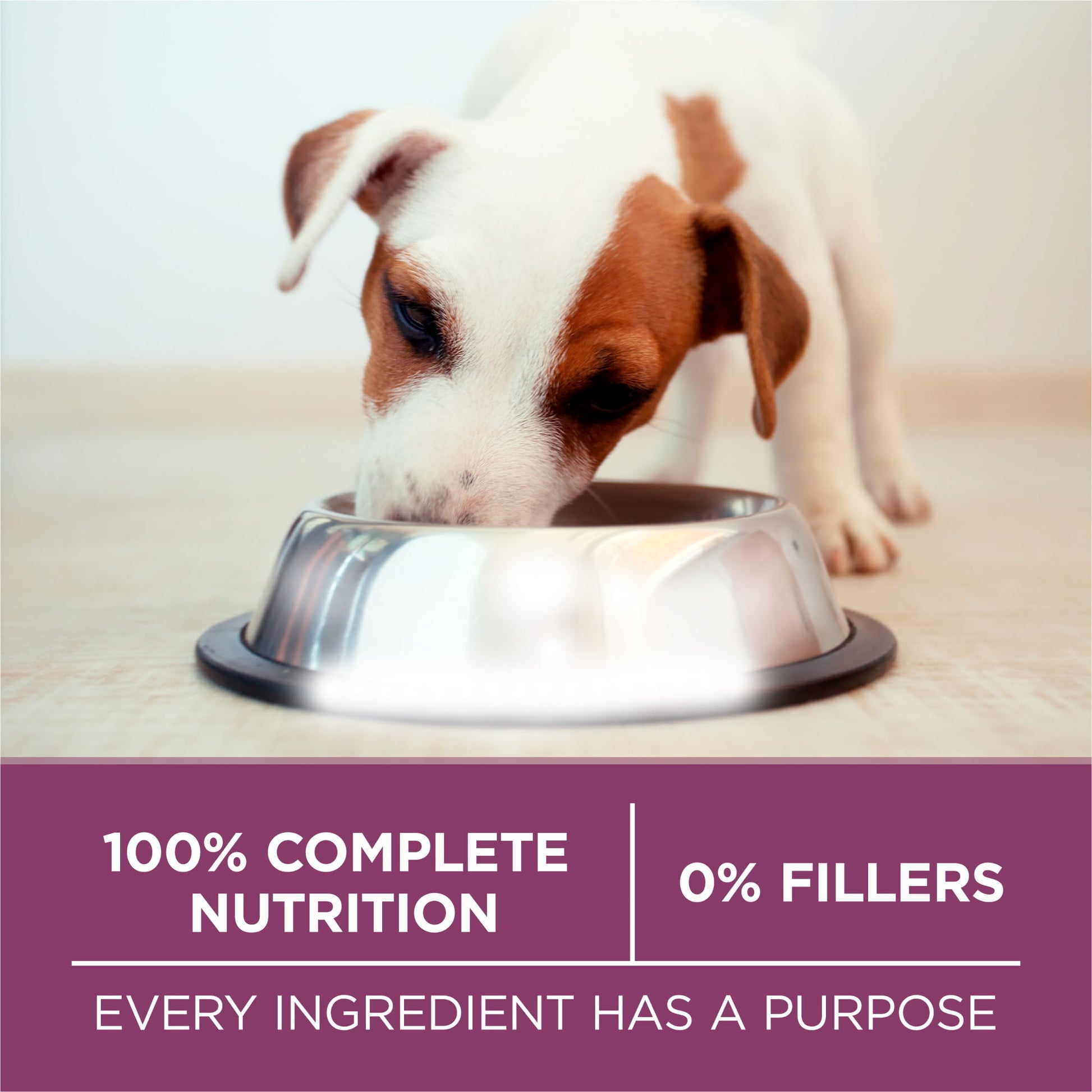 Purina ONE Plus Healthy Puppy Dry Dog Food, High Protein Growth Support Real Chicken, 16.5 lb Bag