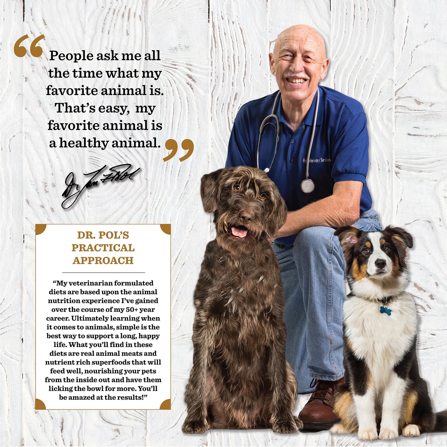 Dr. Pol Incredi-Pol Favorites Beef and Brown Rice Recipe Dog Food - 6lb