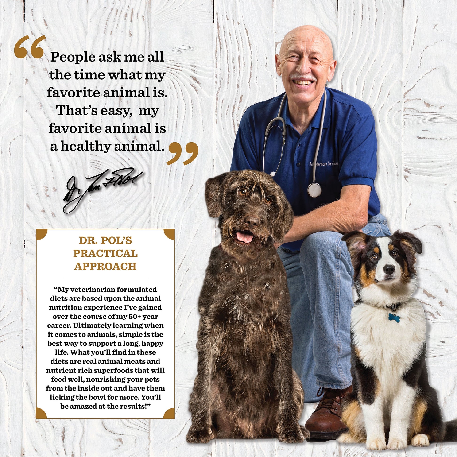 Dr. Pol Incredi-Pol Favorites Beef and Brown Rice Recipe Dog Food - 6lb