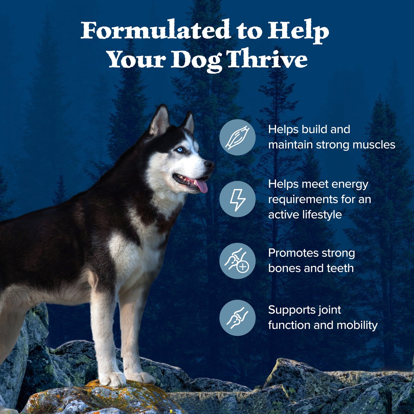 Blue Buffalo Wilderness Natural High-Protein Adult Dog Dry Food, Chicken Recipe, 13-lb.