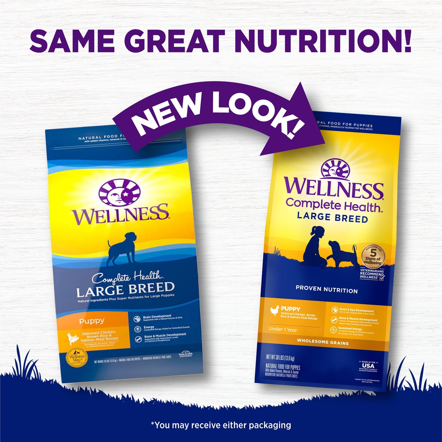 Wellness Complete Health Natural Large Breed Puppy Dry Dog Food, Chicken, Salmon & Rice, 30-Pound Bag