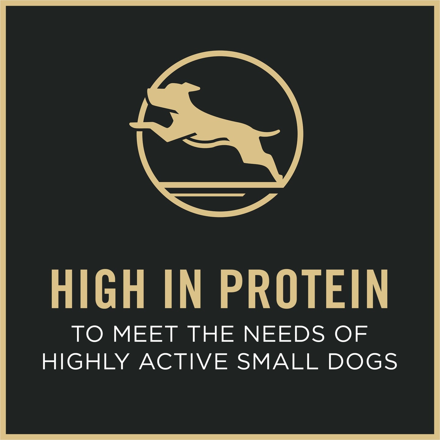 Purina Pro Plan High Protein Small Breed High Protein Dog Food Dry Shredded Blend Lamb and Rice Formula