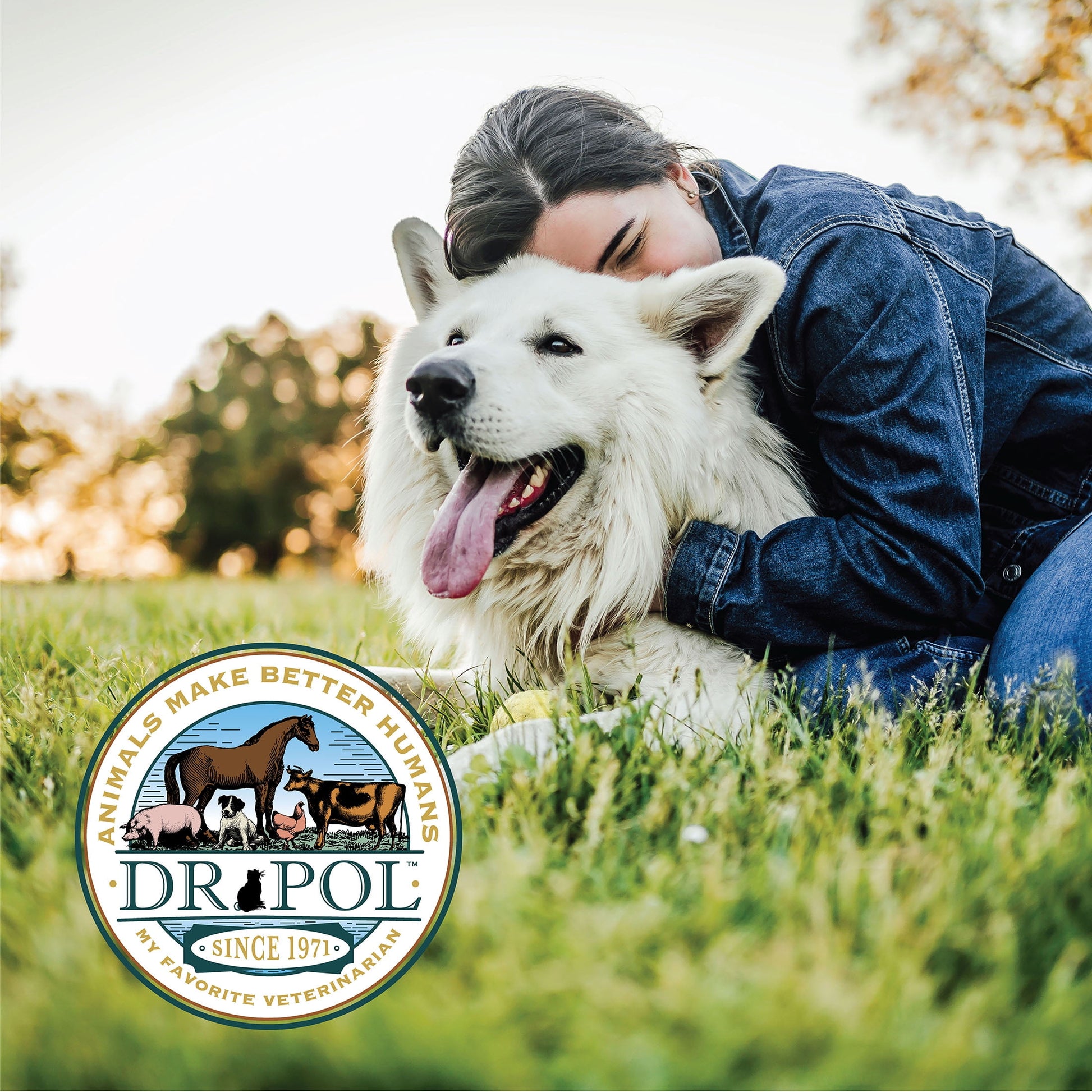 Dr. Pol Incredi-Pol Favorites Beef and Brown Rice Recipe Dog Food - 6lb