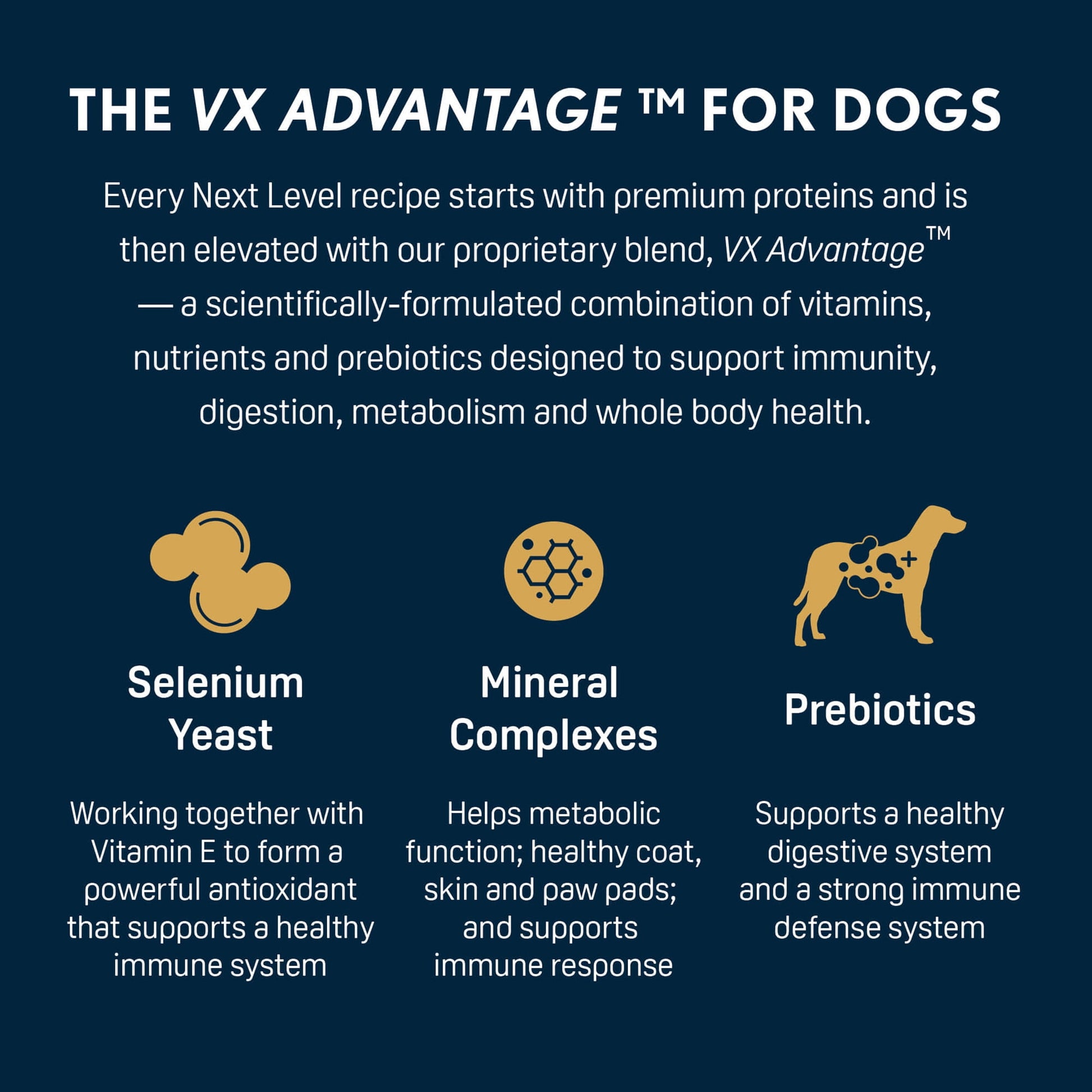 Next Level, Grain Free Salmon River® Skin & Coat Recipe, Dry Dog Food, 40 lbs