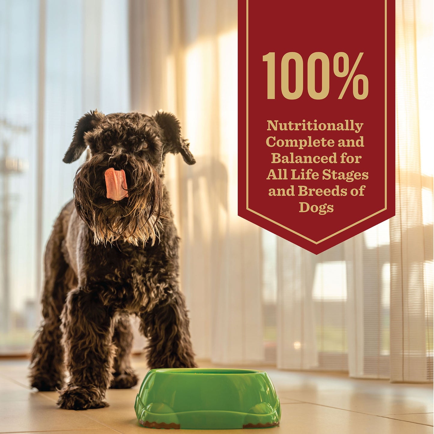 Dr. Pol Incredi-Pol Favorites Beef and Brown Rice Recipe Dog Food - 6lb