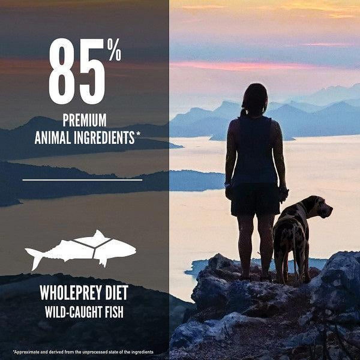 ORIJEN Six Fish Dry Dog Food 4.5 lb
