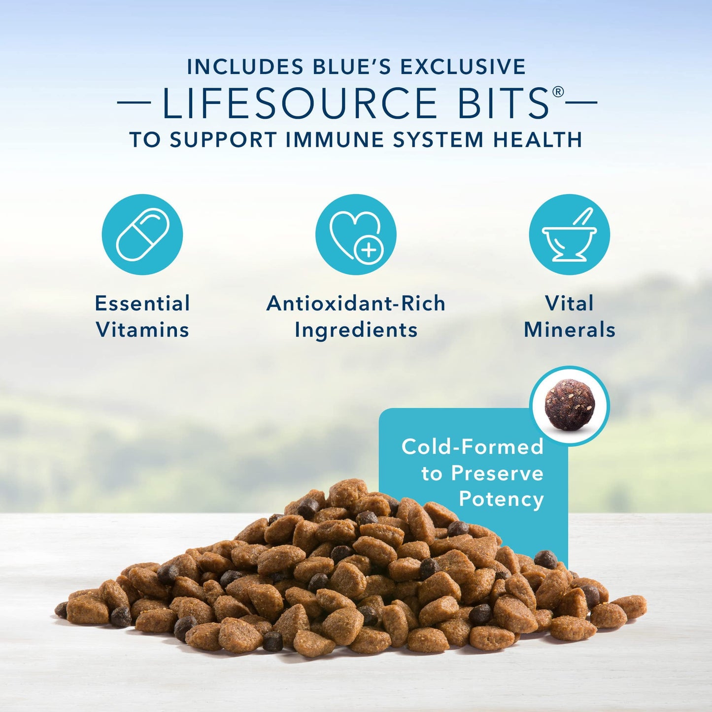 Blue Buffalo Life Protection Formula Natural Adult Dry Dog Food (Pack of 4)