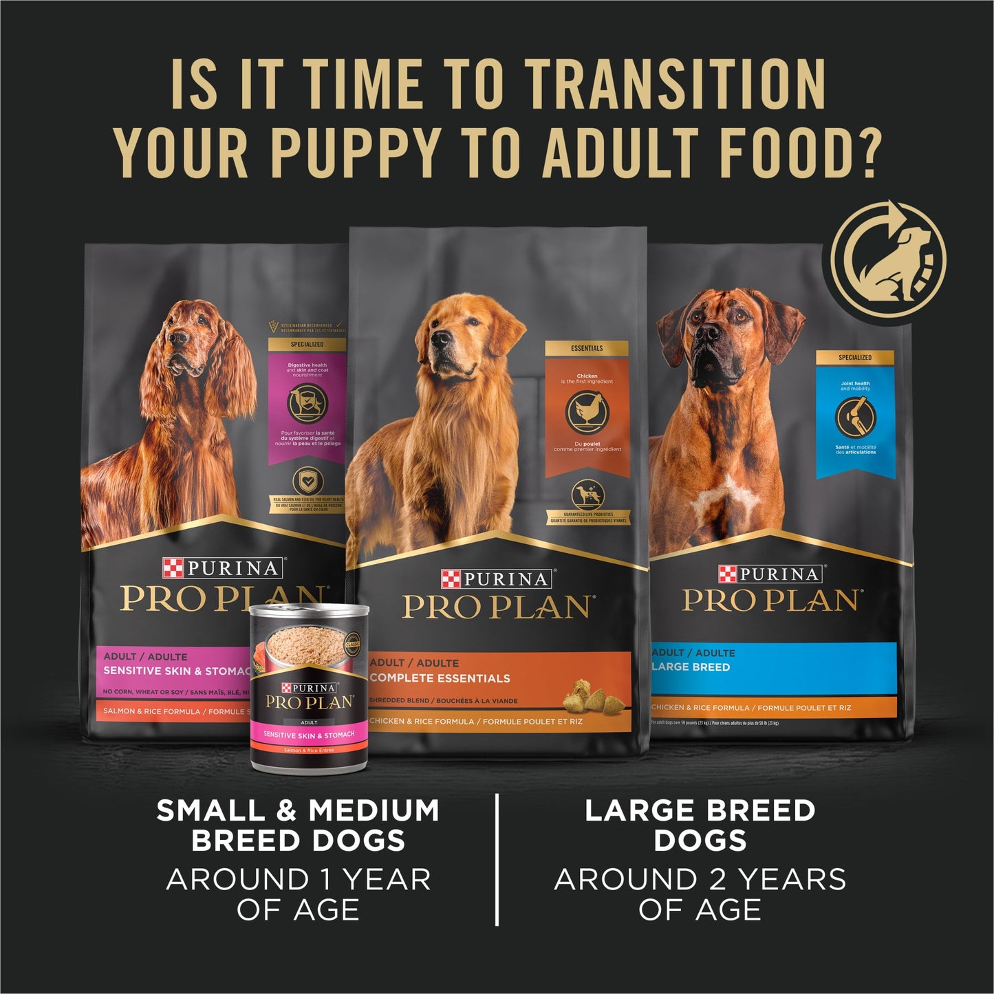 Purina Pro Plan High Protein Puppy Food Shredded Blend Chicken & Rice Formula, 6 lb. Bag