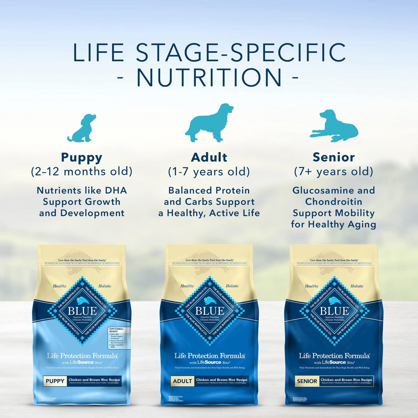 Blue Buffalo Life Protection Formula Natural Puppy Dry Dog Food, (Pack of 2)