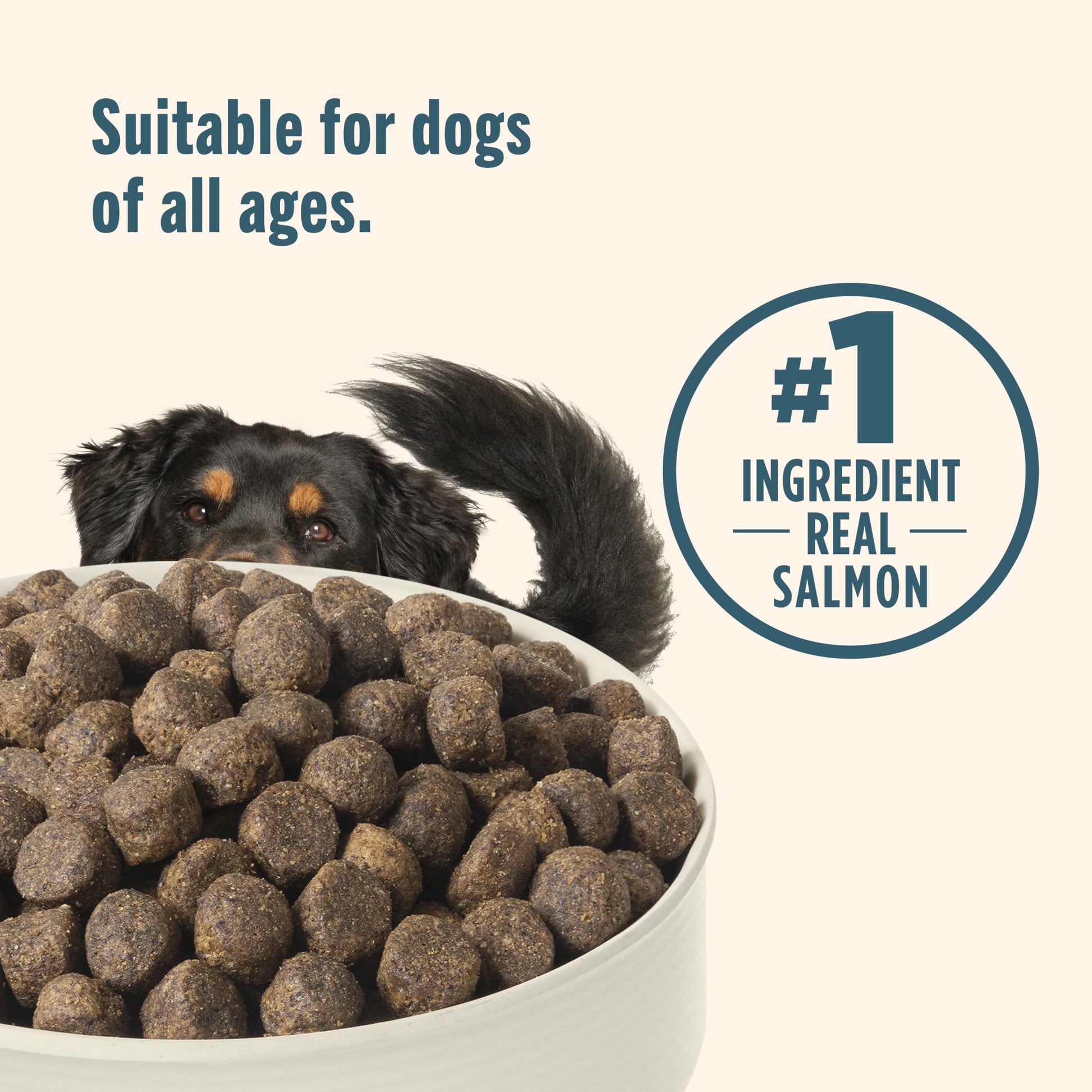 Nutrish Grain Free Salmon & Sweet Potato Recipe Dry Dog Food, 23 lb. Bag (Rachael Ray)