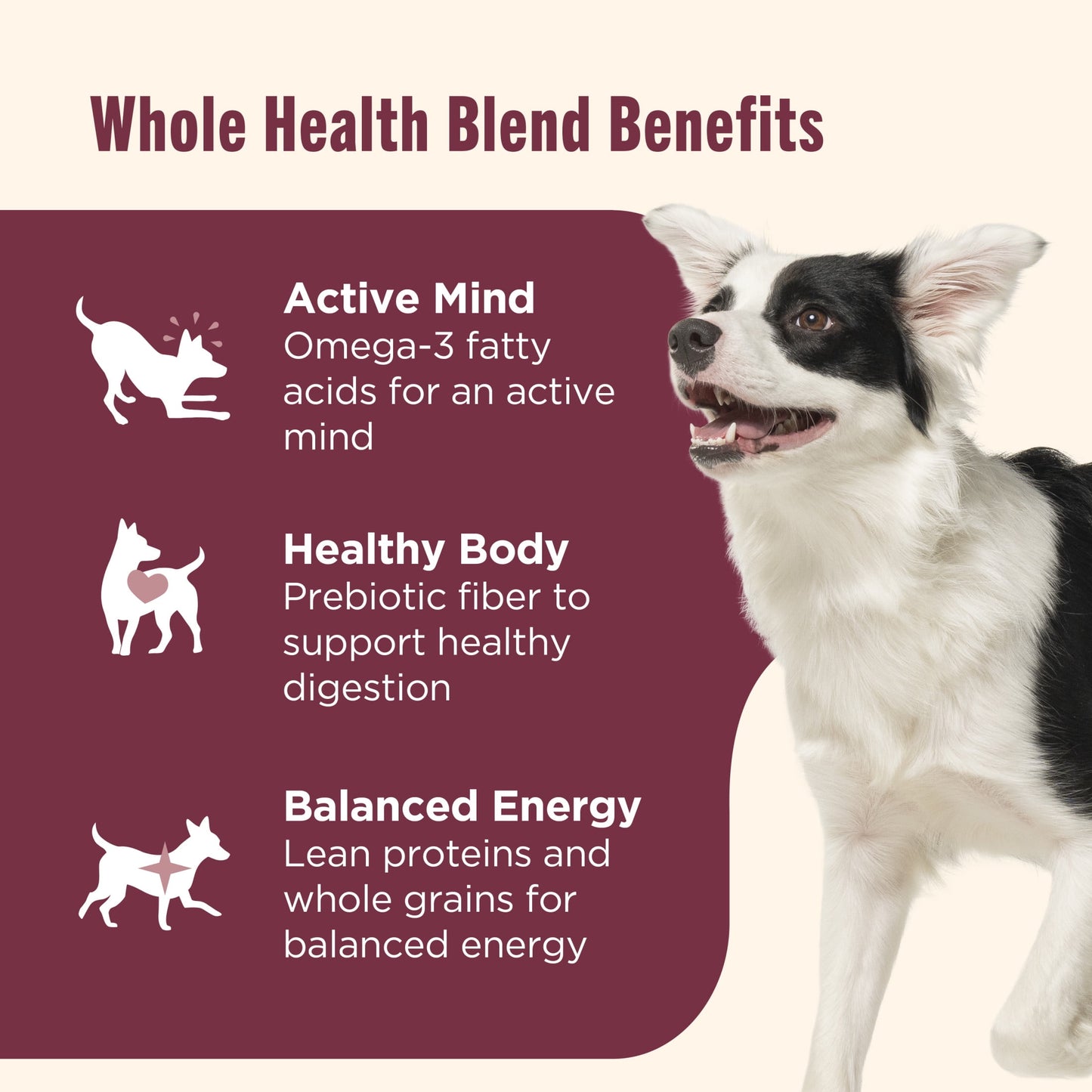 Nutrish Real Salmon, Veggies & Brown Rice Recipe Whole Health Blend Dry Dog Food, 26 lb. Bag (Rachael Ray)