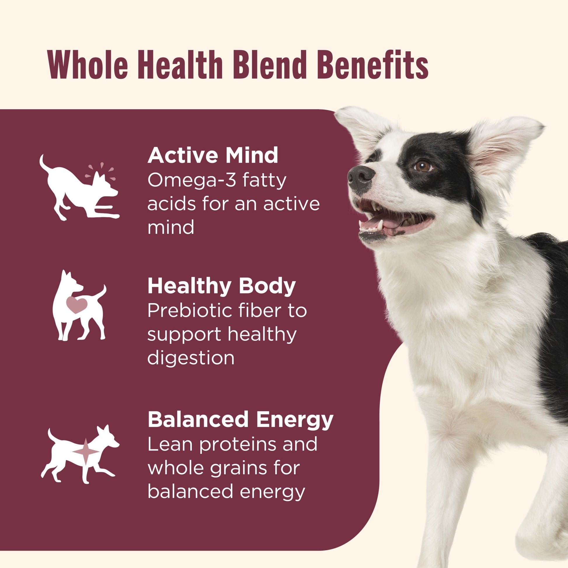Nutrish Real Salmon, Veggies & Brown Rice Recipe Whole Health Blend Dry Dog Food, 26 lb. Bag (Rachael Ray)