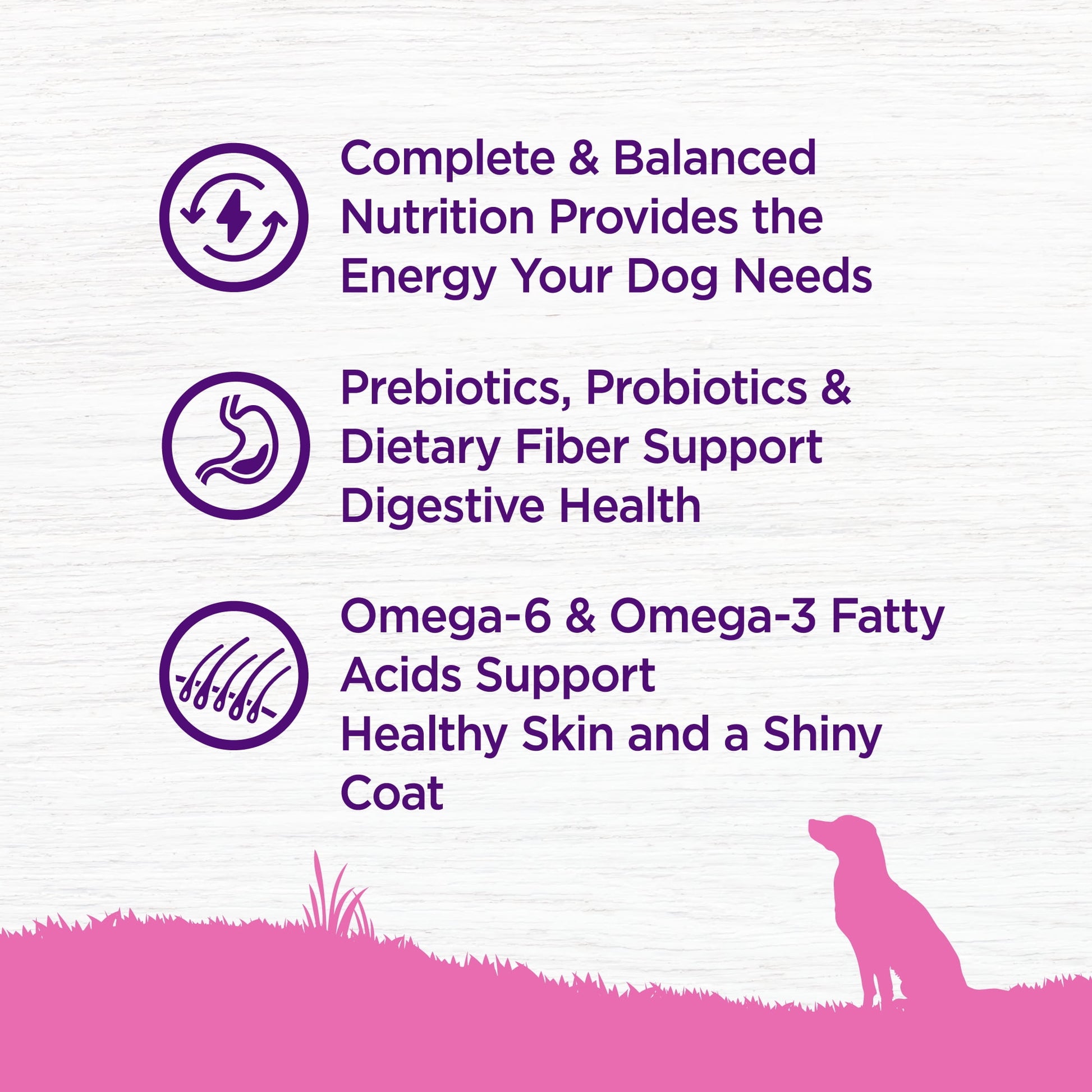 Wellness Complete Health Natural Toy Breed Dry Dog Food, Chicken & Rice, 4-Pound Bag