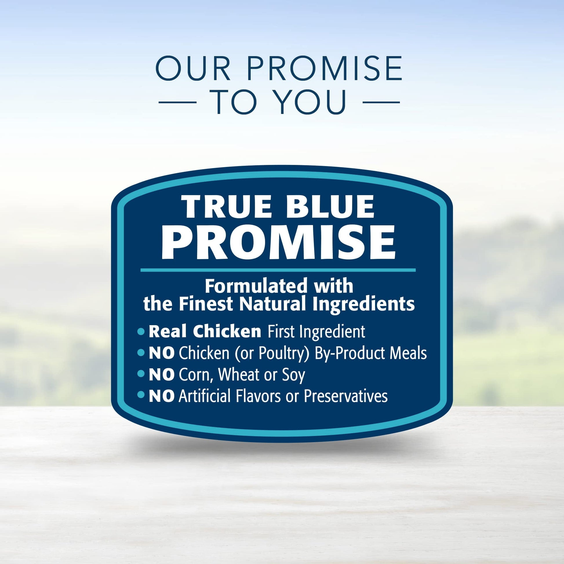 Blue Buffalo Life Protection Formula Natural Puppy Dry Dog Food, (Pack of 2)