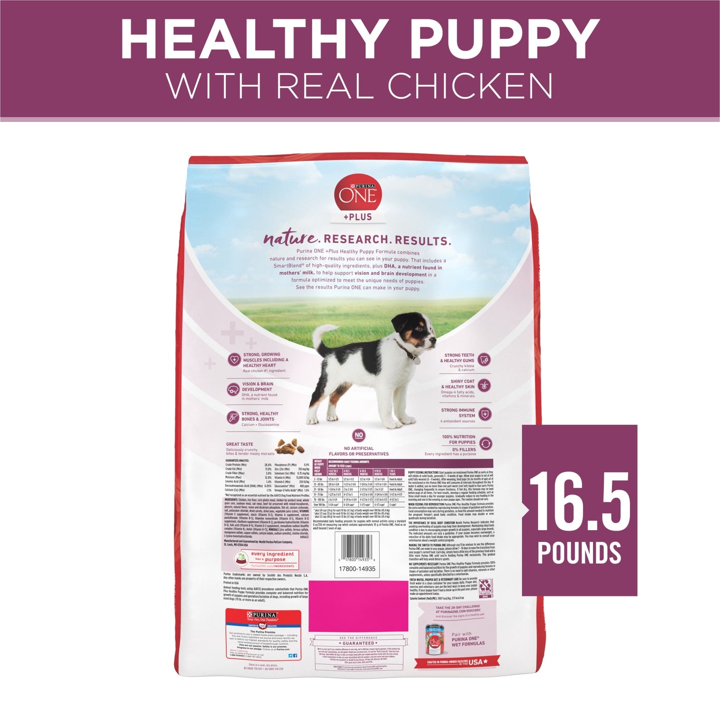Purina ONE Plus Healthy Puppy Dry Dog Food, High Protein Growth Support Real Chicken, 16.5 lb Bag
