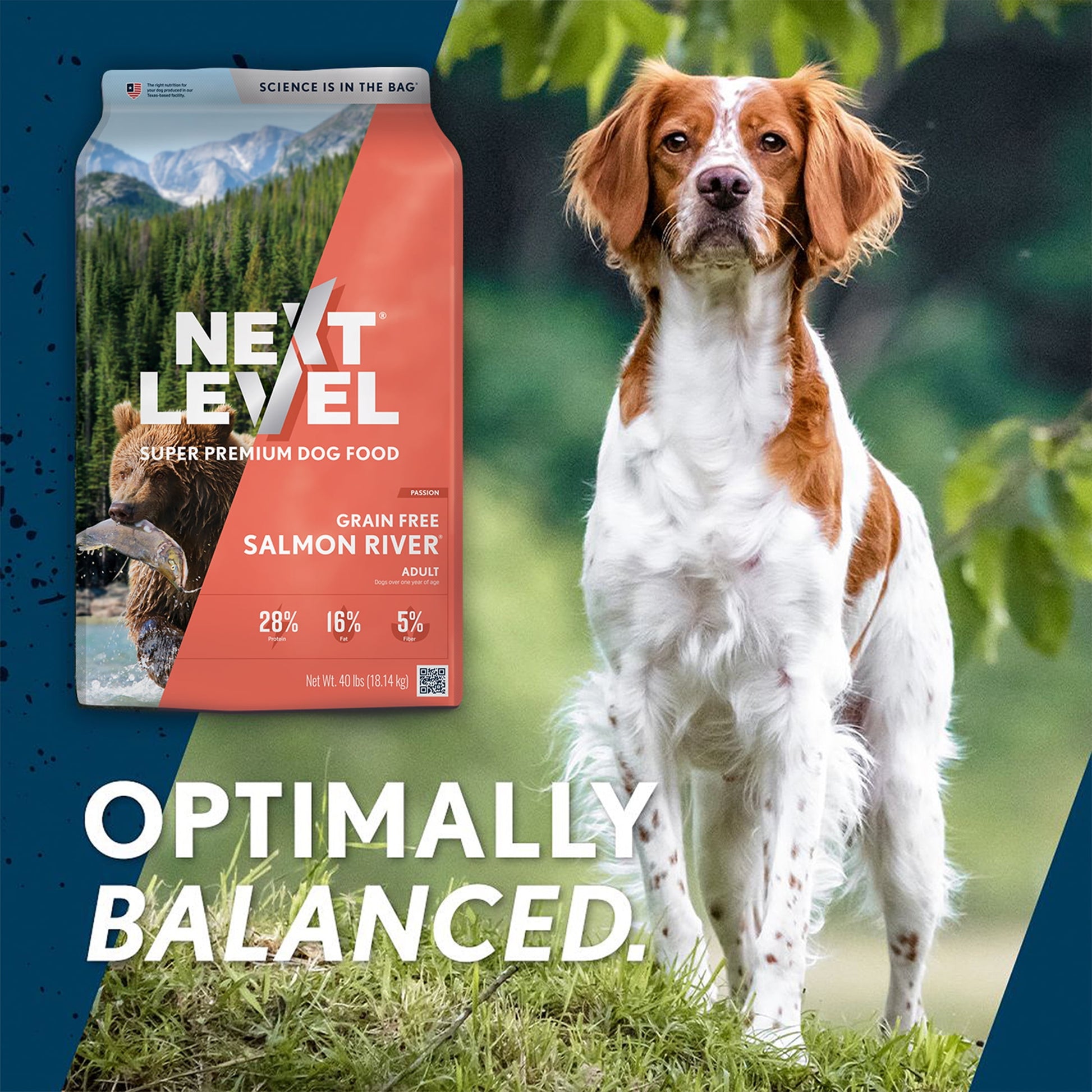 Next Level, Grain Free Salmon River® Skin & Coat Recipe, Dry Dog Food, 40 lbs