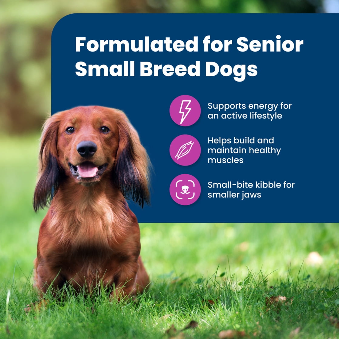 Blue Buffalo Life Protection Formula Small Breed Senior Dry Dog Food, Chicken & Rice, 15lb