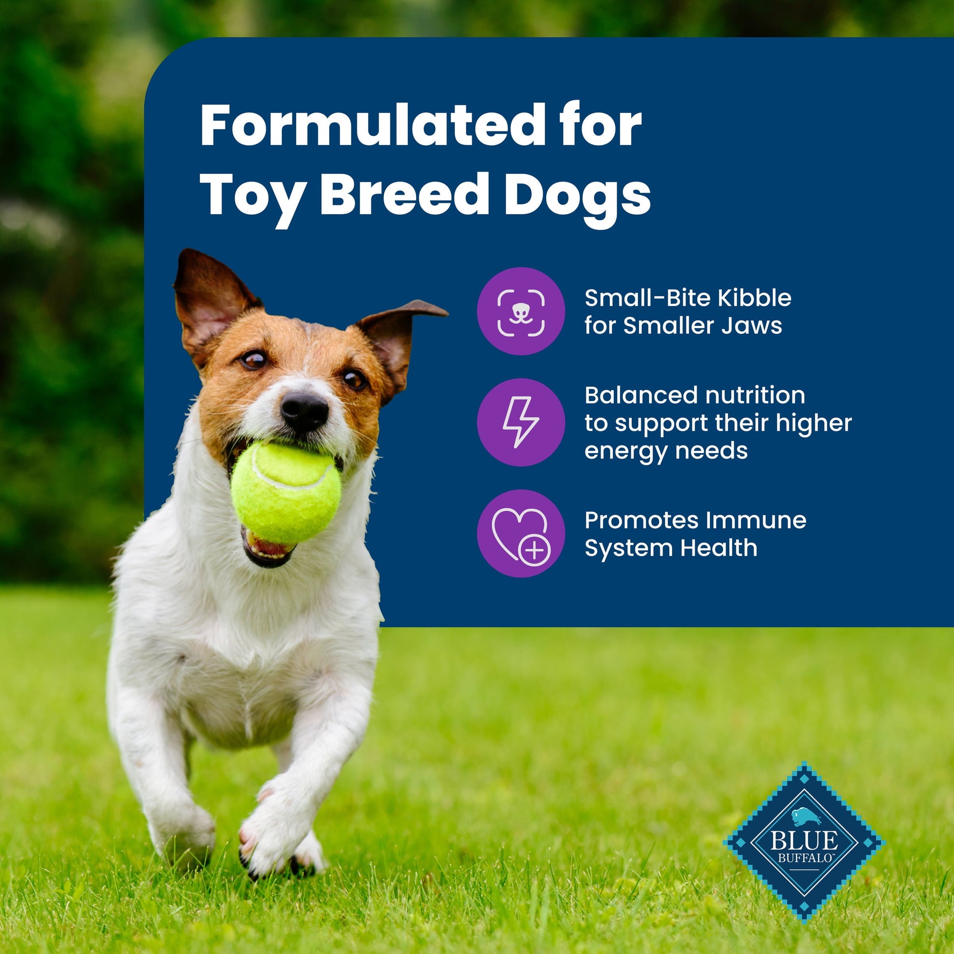 Blue Buffalo Life Protection Formula Toy Breed Dry Dog Food Chicken & Brown Rice 4 lbs.