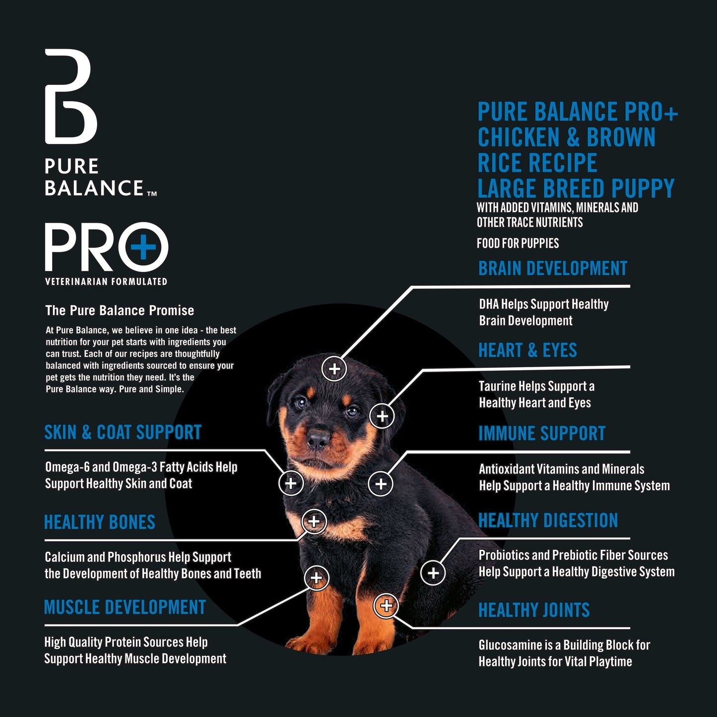 Pure Balance Pro+ Chicken and Brown Rice Large Breed Puppy Food, 16 lbs