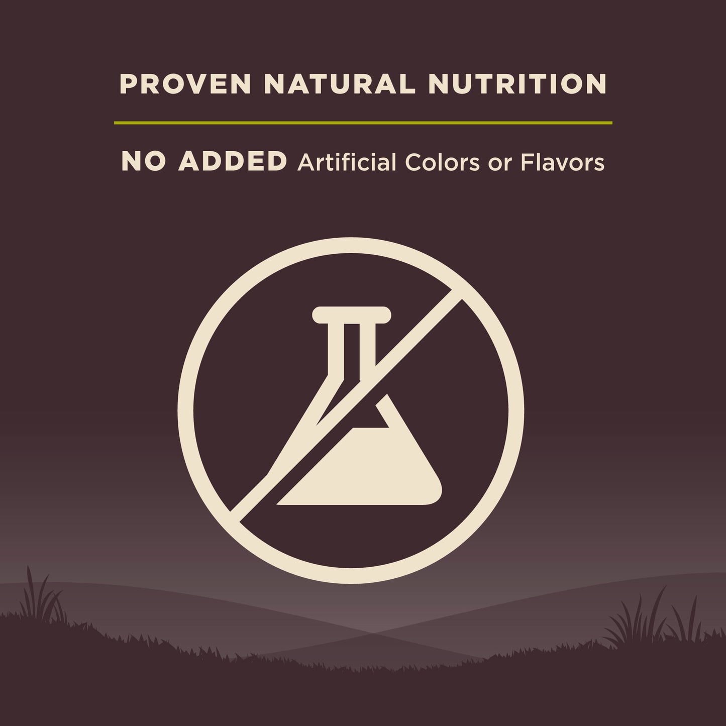 Wellness CORE Dry Dog Food, Grain Free, High Protein, Natural, Healthy Weight Turkey & Chicken Recipe, (26-Pound Bag)