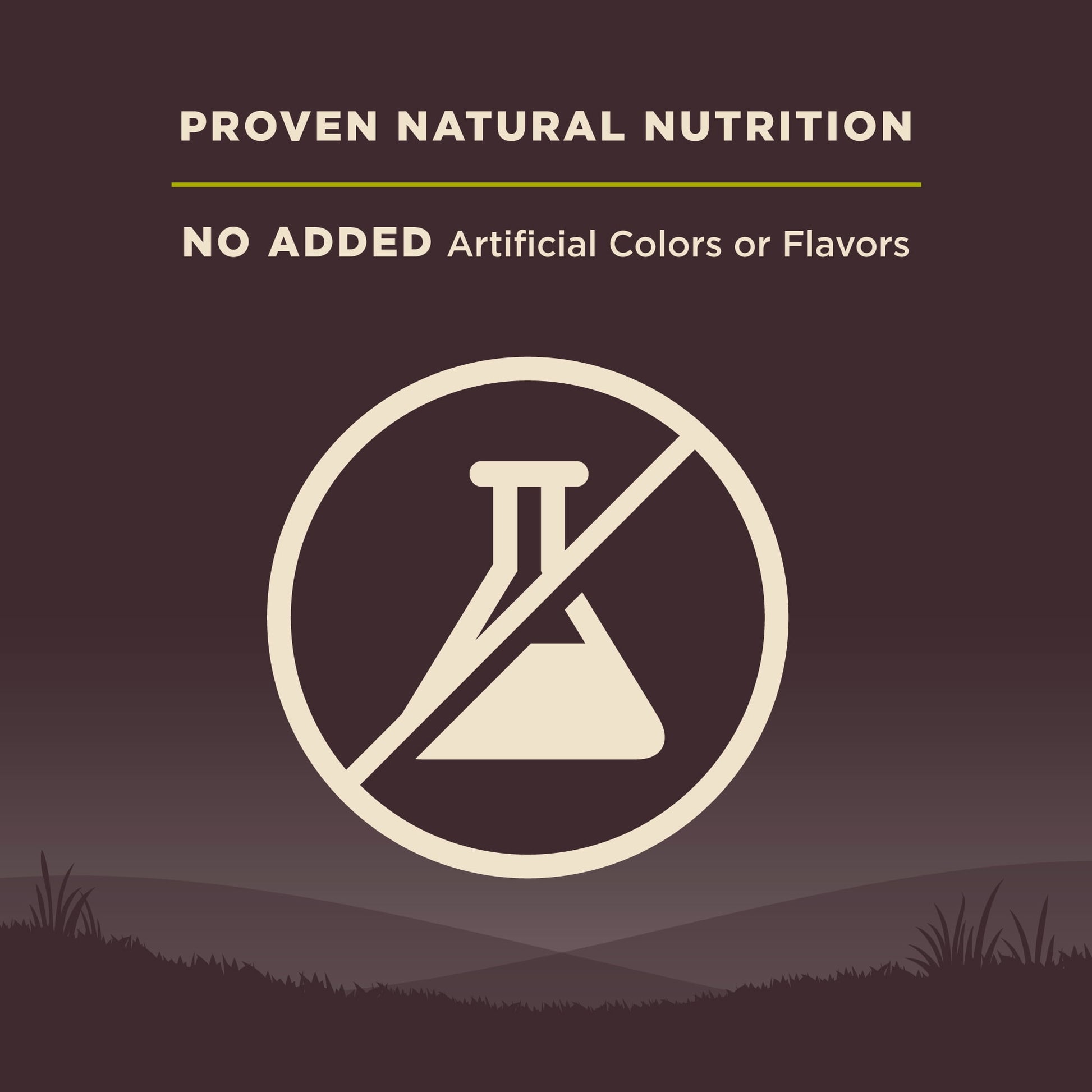 Wellness CORE Dry Dog Food, Grain Free, High Protein, Natural, Healthy Weight Turkey & Chicken Recipe, (26-Pound Bag)