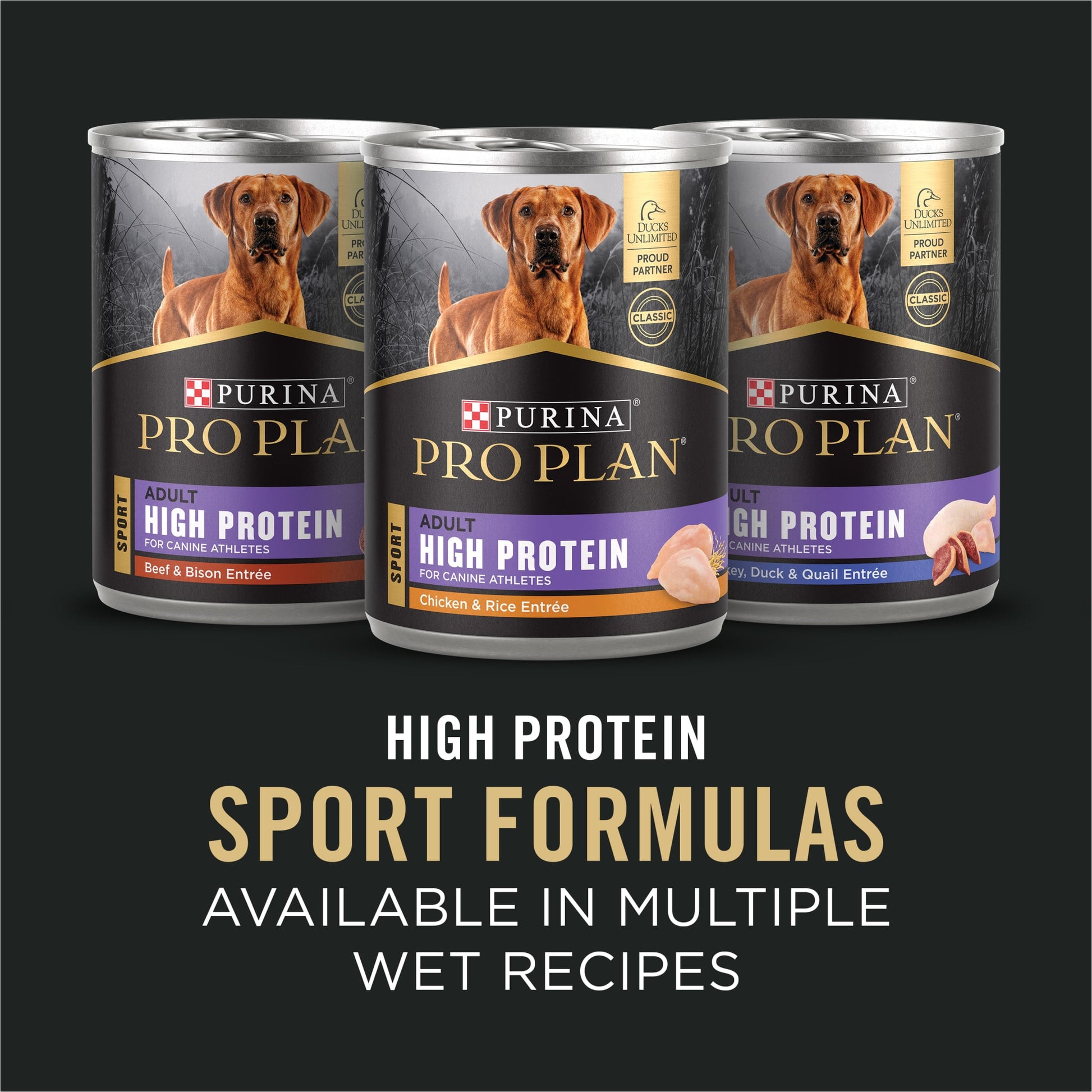 Purina Pro Plan Sport Adult 7 Plus Performance 30/17 Chicken and Rice High Protein Dog Food Dry Formula, 16 lb Bag