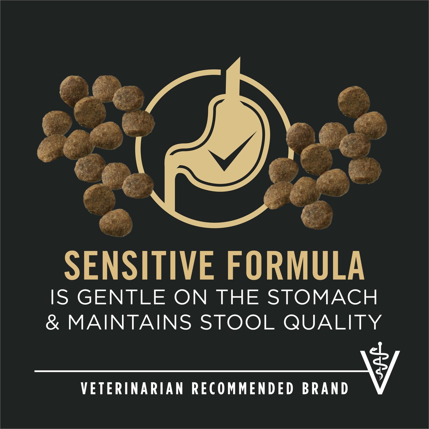 Purina Pro Plan Sensitive Skin and Stomach Puppy Food with Probiotics, Lamb & Oatmeal Formula, 16 lb. Bag