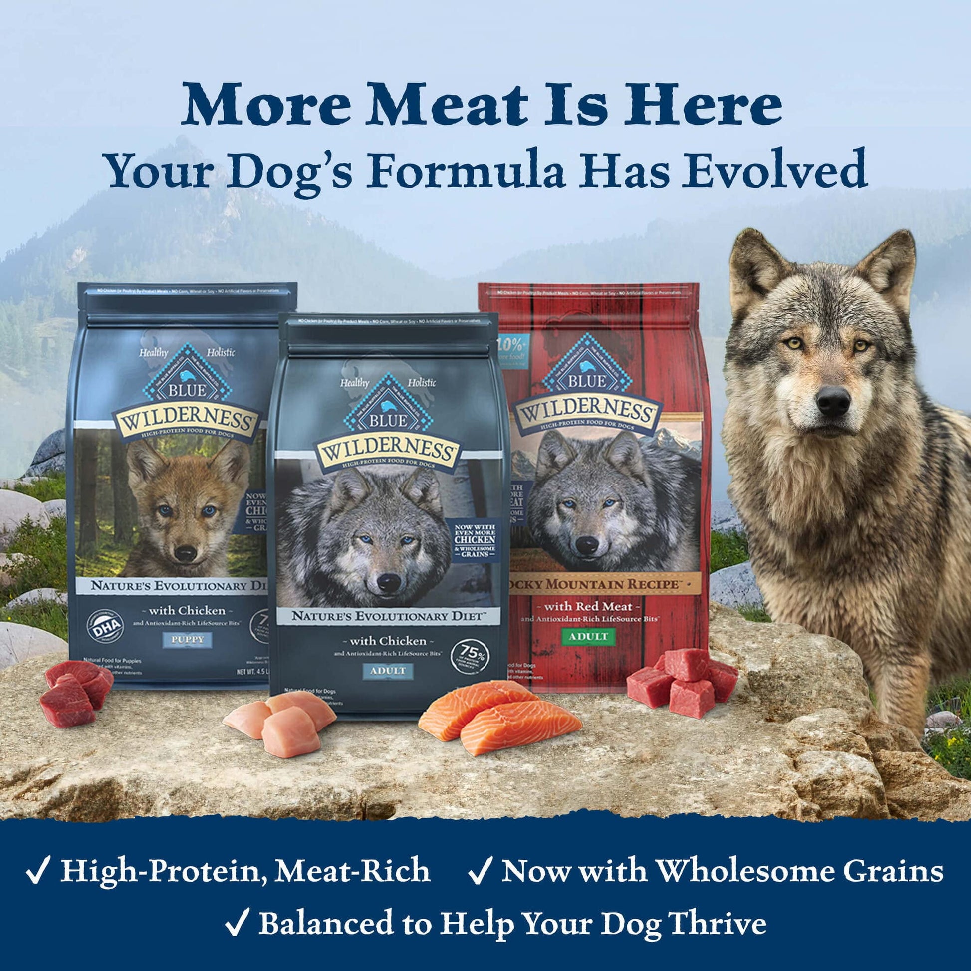 Blue Buffalo Blue Wilderness Plus Wholesome Grains Natural (Pack of 2)
