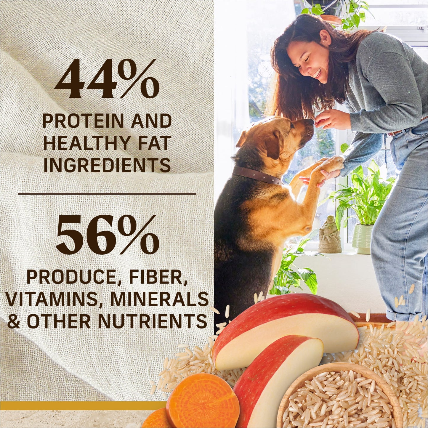Merrick Real Chicken & Brown Rice Dry Dog Food, Whole Grain, 25 lb Bag